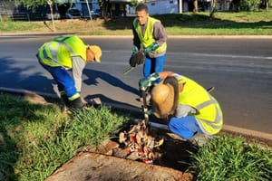 Prefeitura promove mutirão de zeladoria na Avenida Ivo Pareschi em Ribeirão Preto