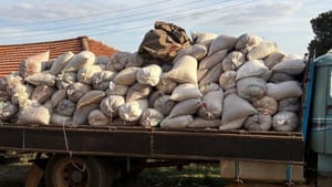 Quatro presos em Taquaritinga por receptação de 400 sacos de soja furtados