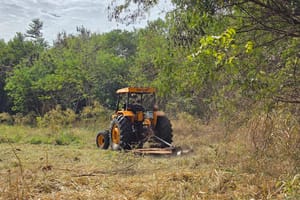 Ribeirão Preto intensifica roçadas para evitar incêndios em áreas públicas durante estiagem