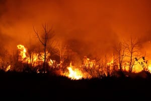 Ribeirão Preto promove ação educativa contra incêndios na Fazenda da Barra neste sábado