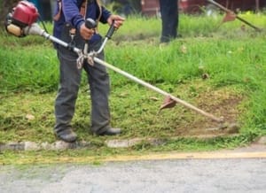 Santa Rosa de Viterbo abre inscrições para programa com 10 vagas de qualificação profissional