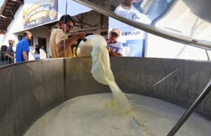 Torneio Leiteiro Nacional de Batatais 2025 tem início com R$ 91 mil em premiações