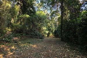 Trilha do Jequitibá é reaberta com atividades educativas no Bosque Zoológico de Ribeirão Preto