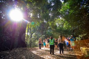 Trilha do Jequitibá é reaberta no Bosque Zoológico e atrai mais de 2 mil visitantes