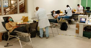 USP de Ribeirão Preto busca voluntários para estudo sobre qualidade e conflitos em relações monogâmicas