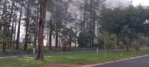 Incêndio atinge vegetação no Parque Primavera em Ribeirão Preto neste domingo