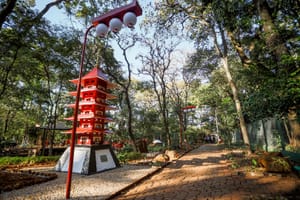 Jardim Japonês no Bosque Fábio Barreto será reaberto nesta sexta após manutenção