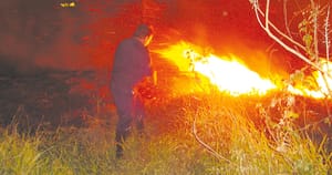 Ministério Público e órgãos reforçam ações contra incêndios na região de Ribeirão Preto