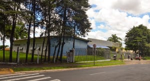 Campanha contra leishmaniose visceral canina mobiliza equipes em Franca