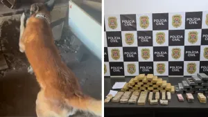 Polícia apreende 53 kg de drogas em posto de molas e prende dono em Orlândia
