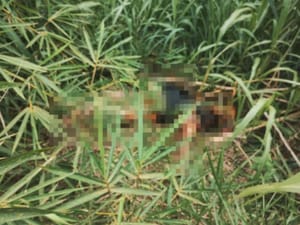 Corpo com sinais de violência é encontrado em terreno na zona Norte de Ribeirão Preto