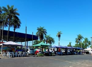Domingo terá manhã de artes e música agitando a Praça Estrela Azul em Santa Rosa de Viterbo