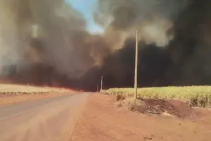 Fogo de grandes proporções interdita vicinal entre Rifaina e Igarapava