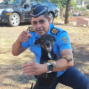 GCM de Ribeirão Preto adota cão resgatado no Jardim Palmares e inicia treinamento