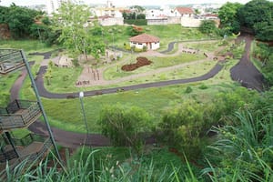 Parque Roberto Genaro reabre em Ribeirão Preto após retirada de enxames