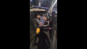 Polícia prende em Embu das Artes suspeito de participação em assalto a casa de luxo em Barretos