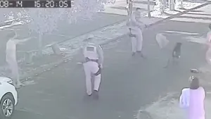 Policial atira e mata cachorro durante abordagem no Centro de Guará