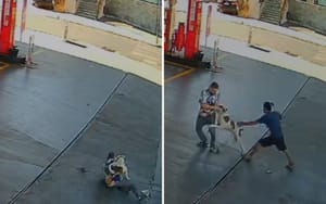 Rapaz com deficiência auditiva foi atacada por pitbull próximo à Rodoviária Central