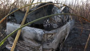 Veículo de entregas é roubado e incendiado em canavial; fogo atingiu área residencial em Ribeirão Preto