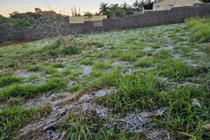 Franca registra geada; frio intenso segue até quarta-feira