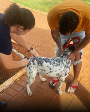 Jardim Jamaica terá mutirão de vacinação antirrábica no próximo sábado