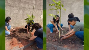 Jaboticabal planta 23 mudas de grumixama em ação de arborização com alunos da Fatec