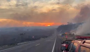 Incêndio às margens da SP-253 provoca reflexos no tráfego entre São Simão e Santa Rosa de Viterbo
