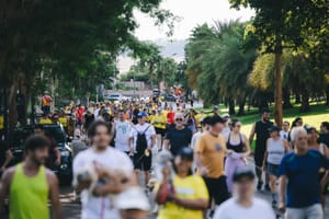 Cãominhada de Ribeirão Preto volta em setembro com ação solidária e 600 kits para participantes