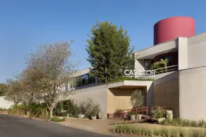 CASACOR Ribeirão Preto traz 36 projetos que unem sustentabilidade, cores e formas orgânicas até 12 de outubro