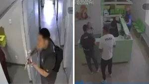 Assalto a clínica em Ribeirão Preto interrompe cirurgia; gato morre e 20 ficam reféns