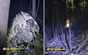 Família pede reabertura de investigação após relatório do Cenipa sobre queda de helicóptero que matou piloto de Ribeirão Preto