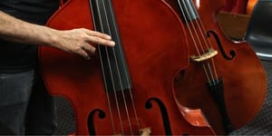 Instituto em Sertãozinho abre vagas para curso gratuito de contrabaixo acústico para jovens