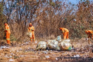 Mutirões de limpeza recolhem cerca de 70 toneladas na região Norte de Ribeirão Preto