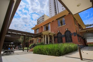 Biblioteca Sinhá Junqueira promove programação gratuita pelo Dia Mundial da Saúde Mental