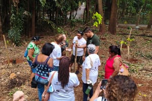 Bosque de Ribeirão Preto planta 35 árvores nativas na Trilha do Jequitibá com grupo de aposentados
