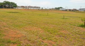 Parceria com a iniciativa privada vai erguer creche para 150 crianças no Villagio Mundo Novo