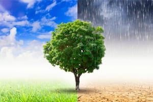 Ribeirão Preto convoca população para 7ª reunião do plano de adaptação climática