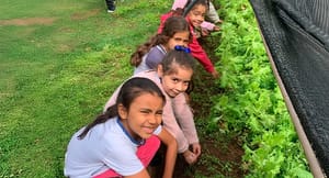Escola de Residencial Nova Franca promove feirinha de hortas com 110 alunos para ensinar sustentabilidade e empreendedorismo