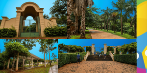 Parque Olhos D’Água será fechado nesta quinta para retirada de enxame de abelhas