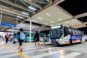 Transporte especial para o Dia de Finados terá linhas a cemitérios em Ribeirão Preto