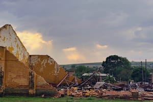 Chuva e ventos de 65 km/h provocam quedas de árvores e queda de poste em Ribeirão Preto