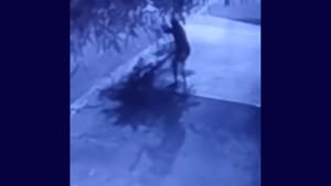 Homem é preso após atacar e matar a filha com barra de ferro em rua de Ribeirão Preto