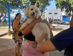 Região do Ulysses Guimarães Recebe Vacinação Antirrábica Gratuita Neste Sábado (01)
