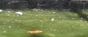 Moradores reclamam de sujeira no lago do Parque Raya; prefeitura marca fechamento para manutenção