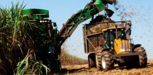 Ribeirão Preto receberá centro de referência em cana e bioenergia para impulsionar pesquisa e formação