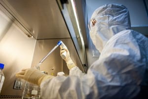 Butantan fecha parceria com empresa dos EUA para desenvolver anticorpo contra febre amarela