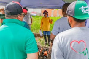 Ribeirão Preto abre lista de espera para curso gratuito de poda de árvores
