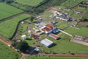 Frigorífico abre 30 vagas em Sertãozinho; entrevistas no PAT na segunda, 10 de novembro