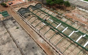 Obras do campus do IFSP em Ribeirão Preto seguem e conclusão prevista para julho de 2026