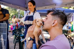Ribeirão Preto realiza feira de adoção com 190 animais neste sábado